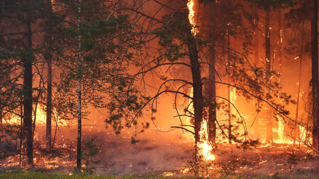 Еще один поселок охвачен огнем в Забайкалье