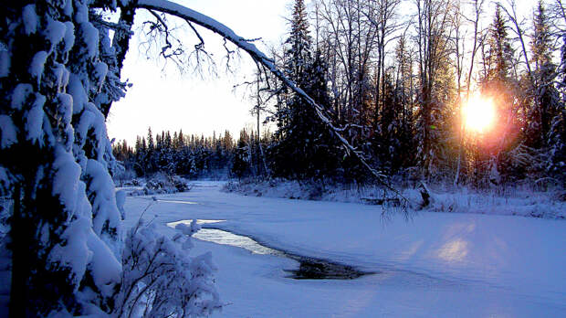 Застрявшая в тайге группа староверов отказалась от помощи спасателей