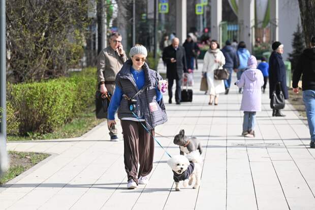 Москвичам пообещали майскую погоду