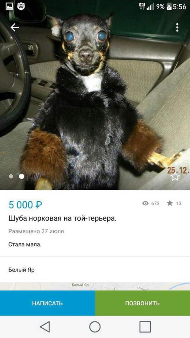 Приколы