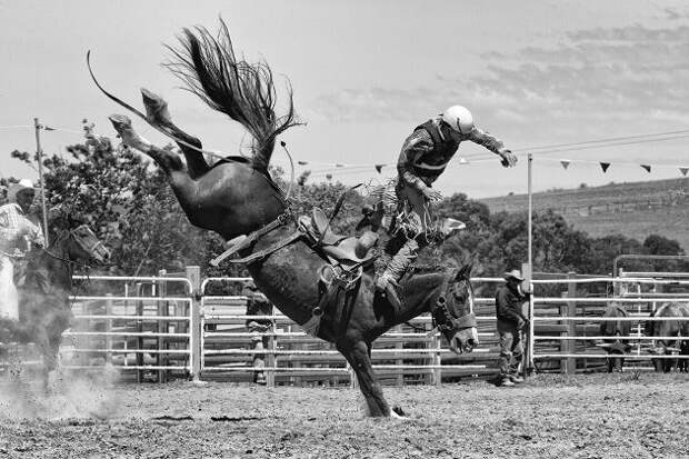 Fowlerville easy rider rodeo 2021 ✔ Free Images : person, ro