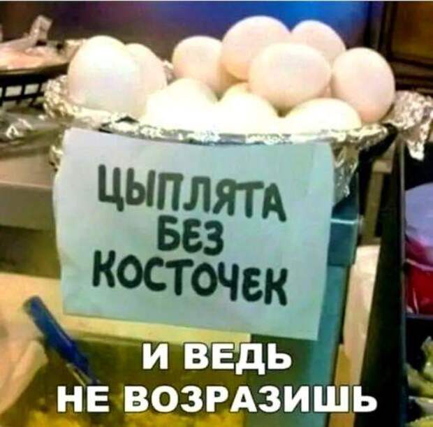 Смешные и прикольные до слез картинки