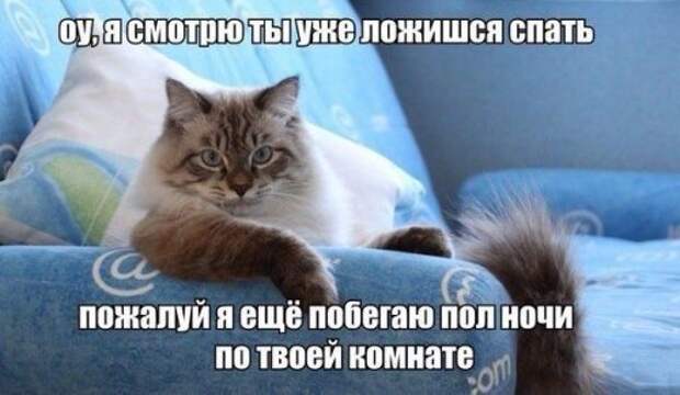 Новый сборник фотомемов (31 шт)