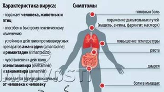 Симптомы птичьего гриппа у человека и лечение фото с описанием