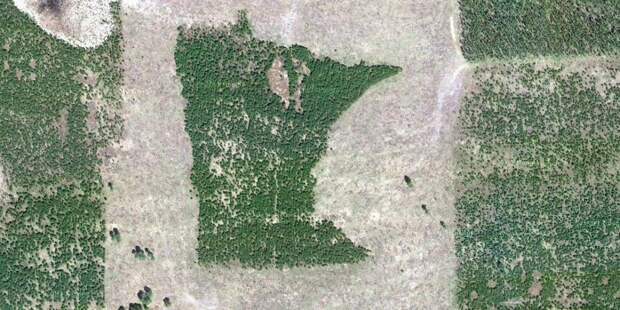 Фотография: Монументы, которые вырабатывают кислород №5 - BigPicture.ru