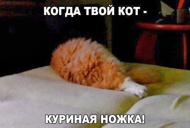 Купила подарки к Новому году. Две радиоуправляемые машинки, чтобы муж с ребёнком не подрались… Купила подарки к Новому году. Две радиоуправляемые машинки, чтобы муж с ребёнком не подрались… кипит, всетаки, Давай, Повторяю, Рядовой, поживает, градусах, будет, наряда, очень, очереди, разговаривает, после, праздников, покупать, женой, уроке, трудовик, объявил, получаем