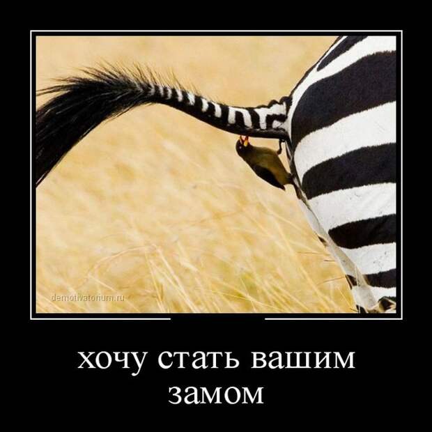 Демотиваторы (30 фото) Демотиваторы (30 фото)