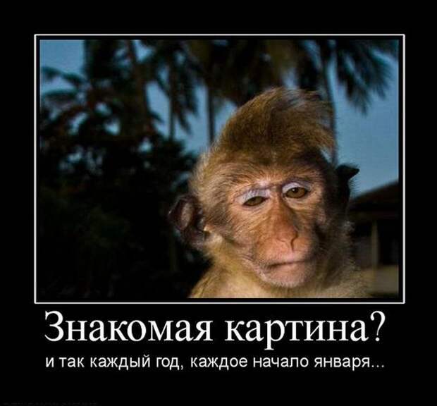 Нам скрывать нечего. Демотиваторы