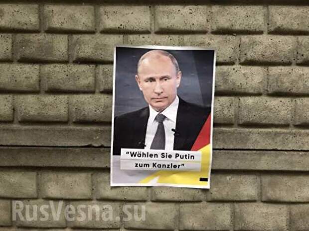 В Германии призывают избрать Путина вместо Меркель