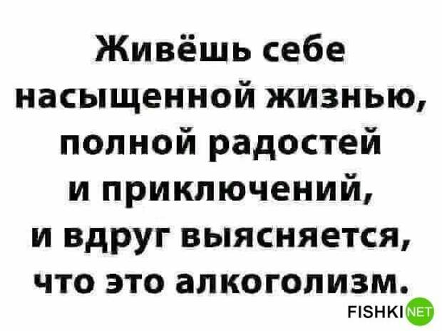 Выпил с утра - весь день свободен Выпил с утра - весь день свободен