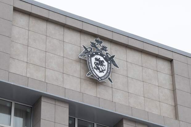 СК завел уголовное дело после гибели двухлетнего ребенка и его матери в Туле