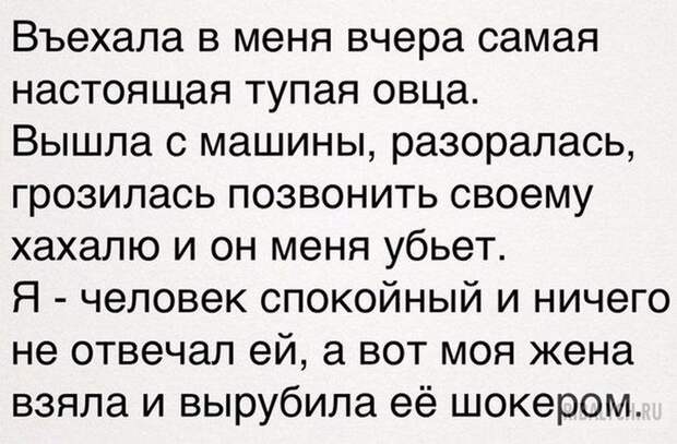 воскресный юмор
