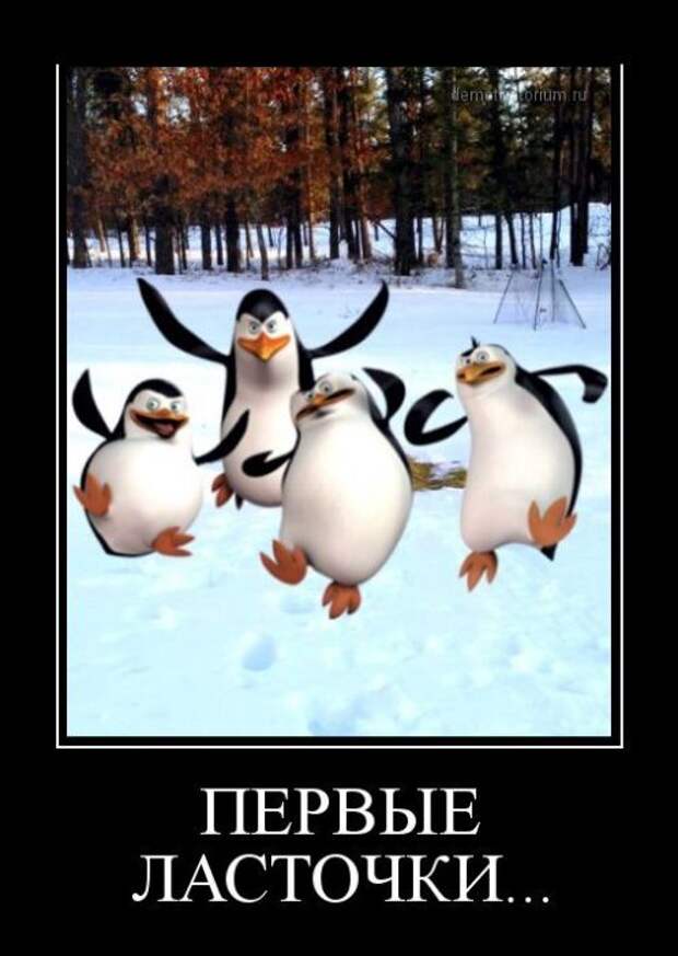 Dемки