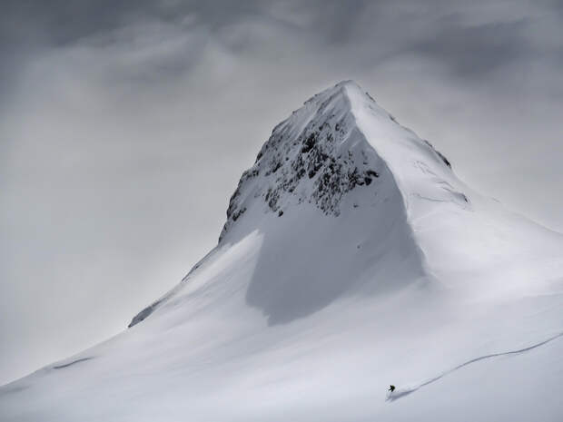 15 неотразимых снимков, победивших в конкурсе фотографии Nature Conservancy