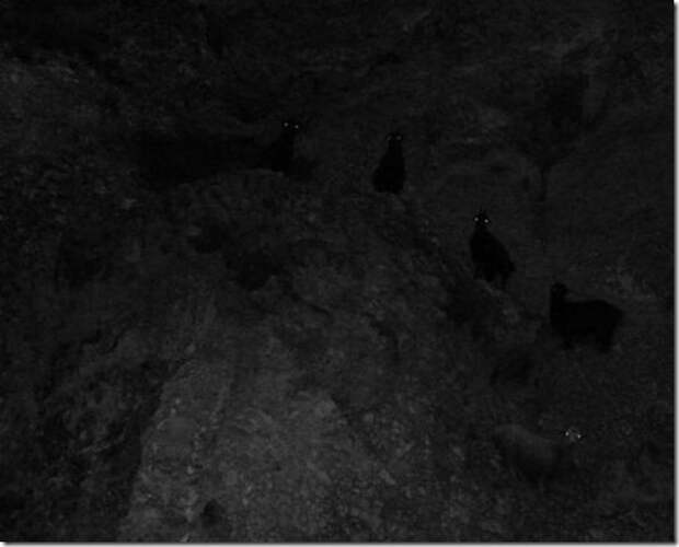clip_image013