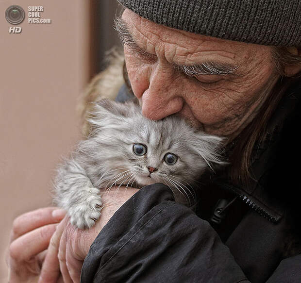 Лучшие фотографии 2013-го года по версии Яндекс.Фотки