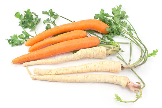 Секреты выращивания моркови и петрушки