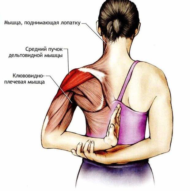 5 упражнений, которые подтянут лицо