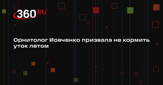 Орнитолог Иовченко призвала не кормить уток летом