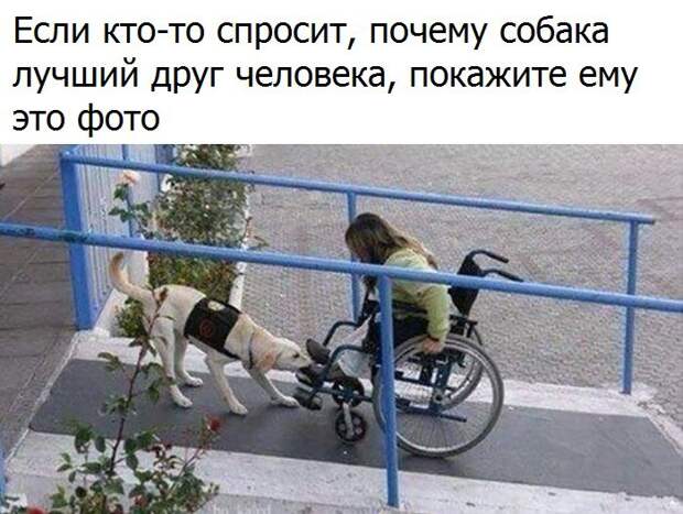 Веселые и эмоциональные картинки с надписями (11 фото) Веселые и эмоциональные картинки с надписями (11 фото)