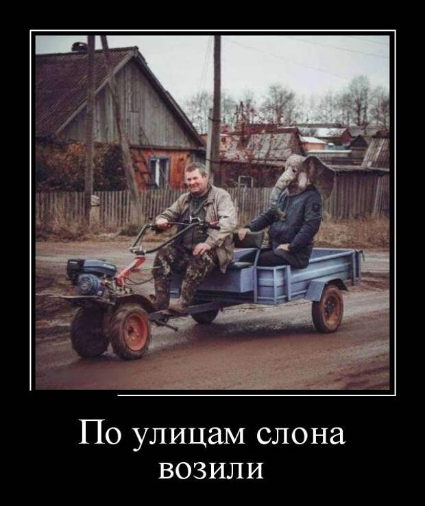 Демотиваторы Демотиваторы