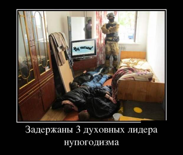 Демотиваторы (30 фото)