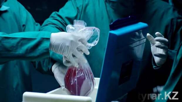 Разбирать живых: почему органы для трансплантации извлекают у доноров при жизни?