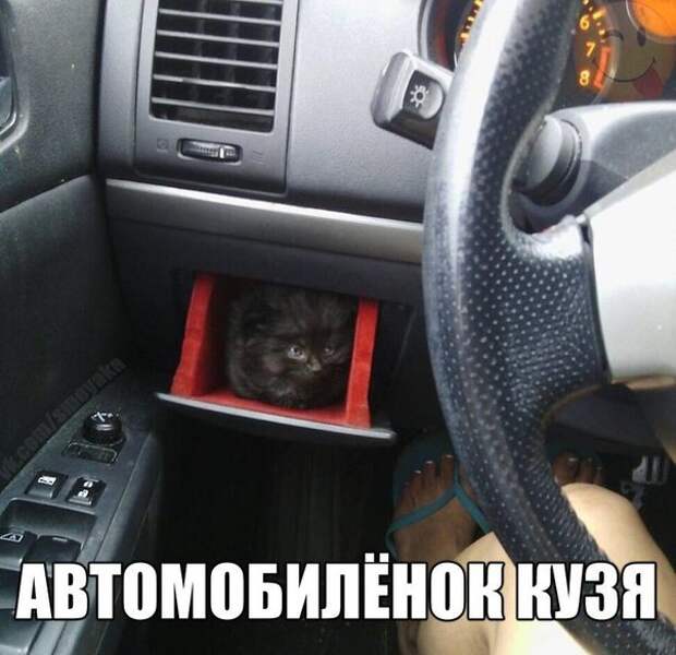 DWWMQMKxzLo