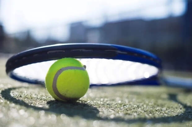 Теннисистку Аванесян обязали выплатить компенсацию Федерации тенниса России