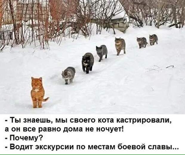 Училка: - Сегодня, дети, мы будем спрягать глаголы. Я стою, ты стоишь...