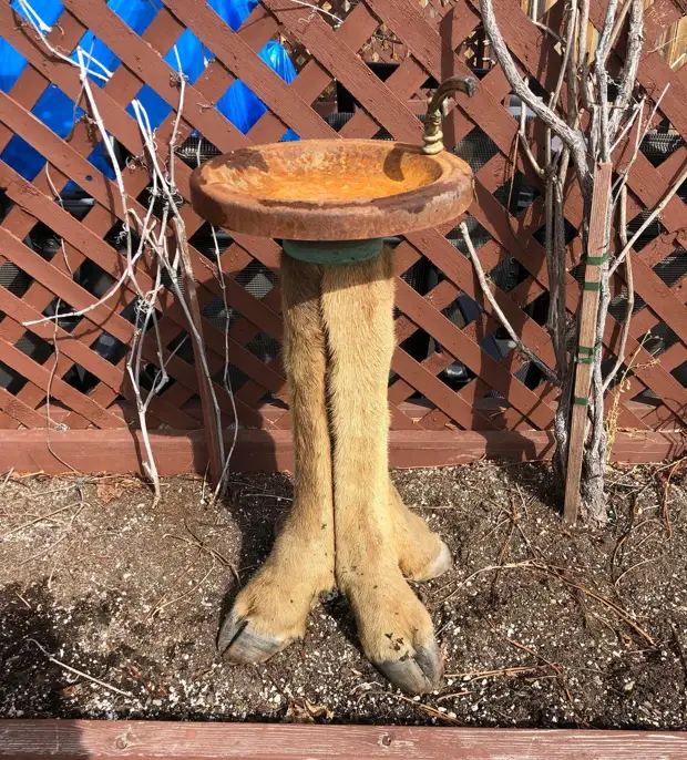 мерзкие приколы