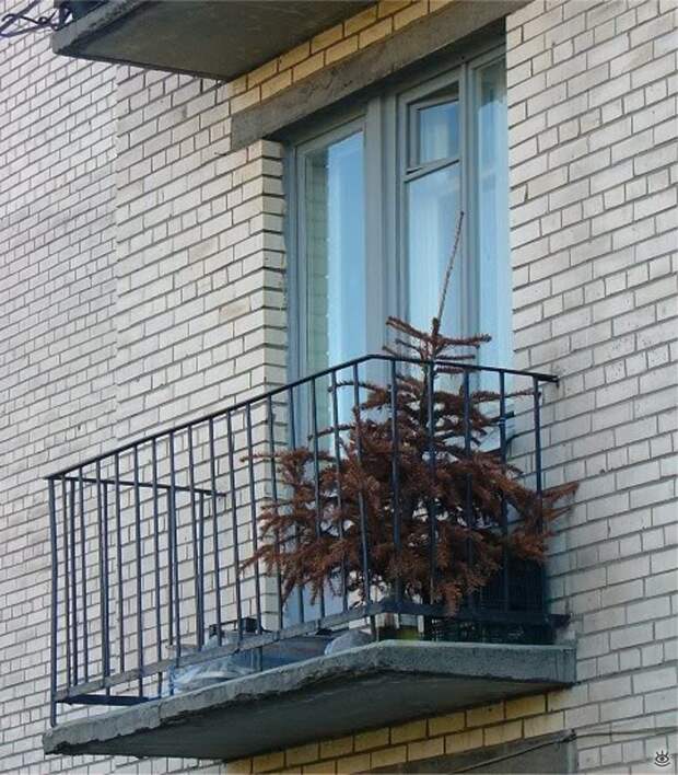 А что на балконе у вас? 7