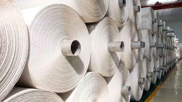 Россиянам пообещали «каменную» бумагу