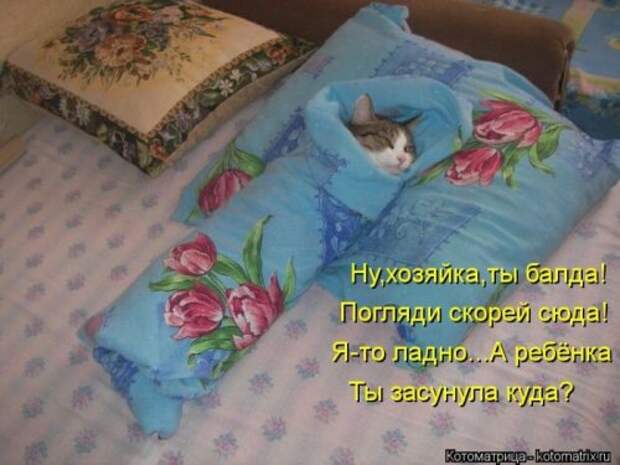 Веселая котоматрица