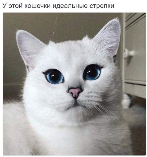 Позитивные картинки с надписями с глубоким смыслом (13 фото)