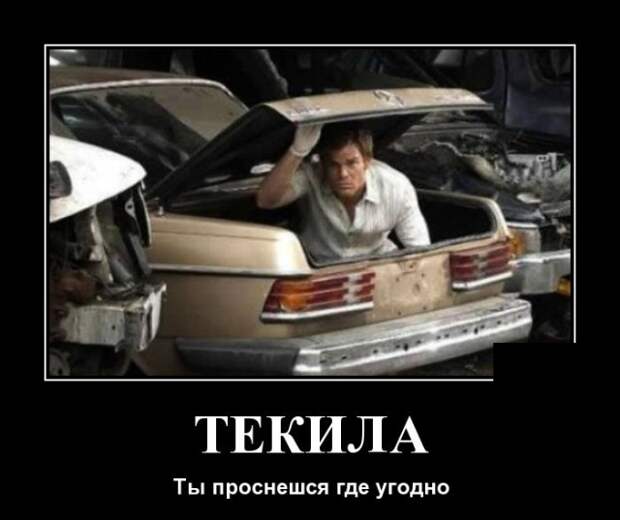 www.vsyako.net