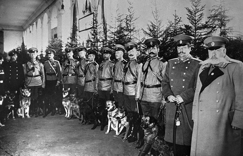 1 сентября 1914 года. Полицейские демонстрируют собак на выставке в Санкт-Петербурге.. Служебные собакены, животные, история, факты
