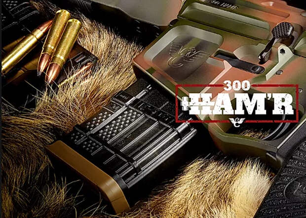 Стандартизация патрона 300 HAM'R 