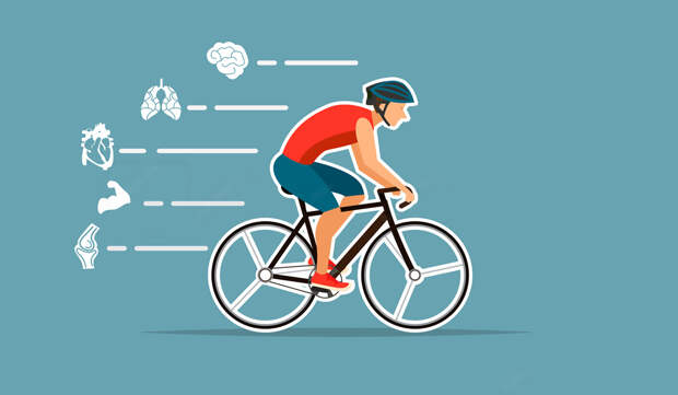 Как велосипед влияет на здоровье организма — и на мозг в частности?
