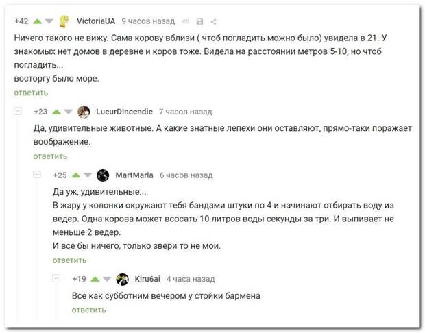 setey-socialnyh-kommentarii-citaty-vkontakte-vkontakte-smeshnye-statusy