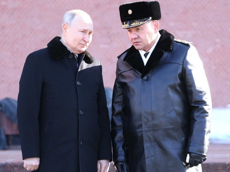 Шойгу сообщил о создании к концу июня резервной армии ВС РФ