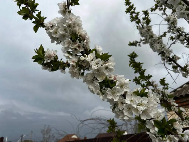 Пуховики доставать обратно? Синоптики получили новые данные и резко изменили прогноз на апрель
