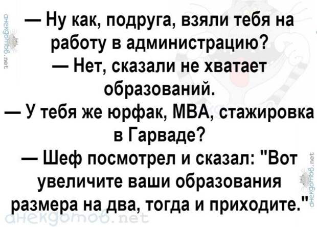 Анекдоты - лучшее от "анекдотовнет" Анекдоты - лучшее от "анекдотовнет"
