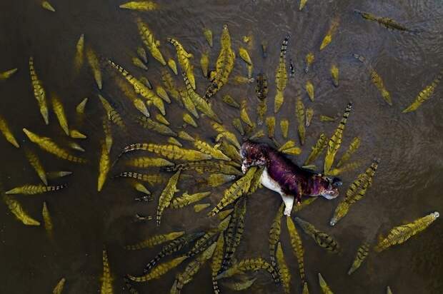 Объявлены победители конкурса Siena International Photo Awards 2019