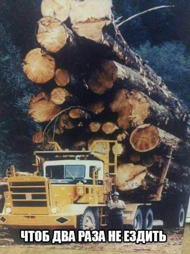 Интересные и смешные картинки (54 фото)