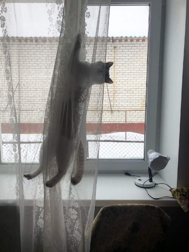 eTapdL5nVcQ (525x700, 289Kb)