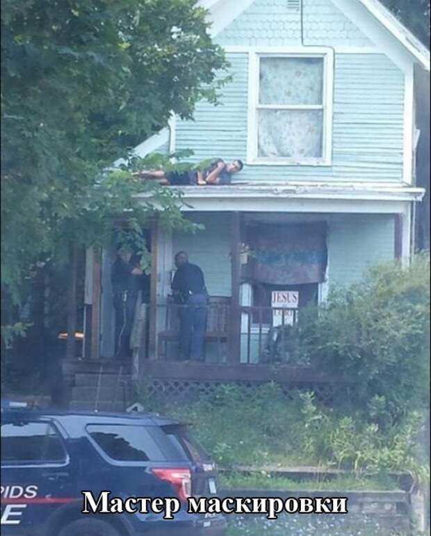 30 настоящих приколов дня. Жмите класс!