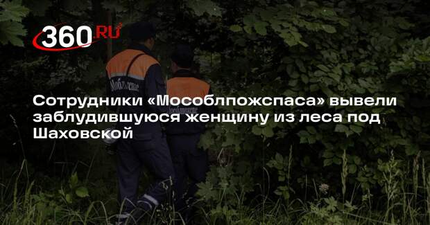 Сотрудники «Мособлпожспаса» вывели заблудившуюся женщину из леса под Шаховской