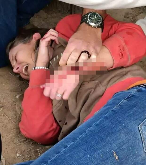 Вот к чему приводят невинные селфи с ″милыми″ кошечками. Не делайте так!