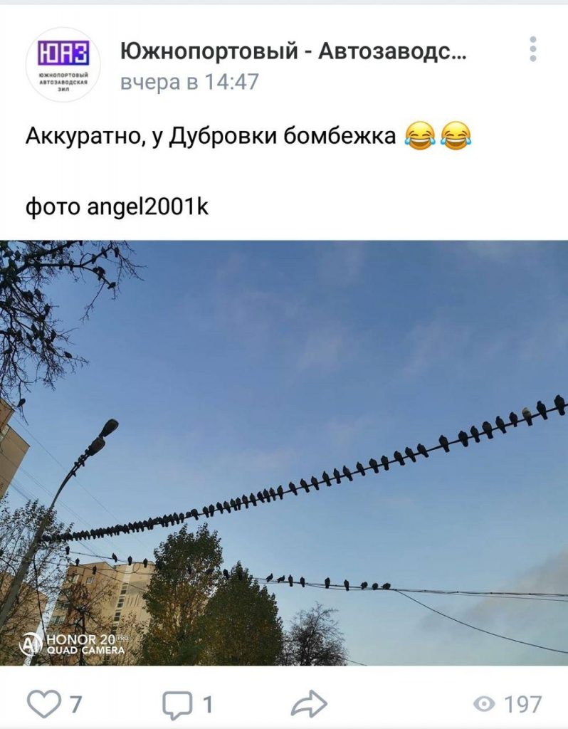 Фото дня: высоко сидят, далеко глядят